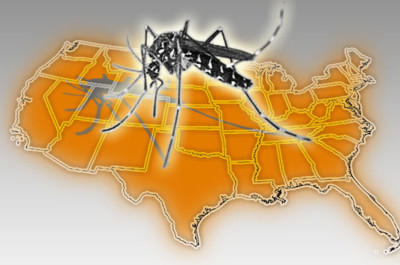 Unwanted in the U.S. – The Asian Tiger Mosquito